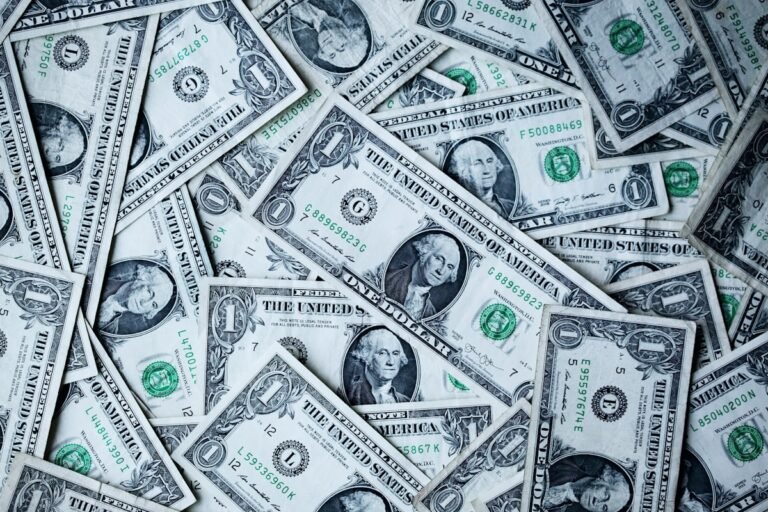 Dolar TL kuru neden yükselir — 100 dolarlık banknotlar yakın çekim
