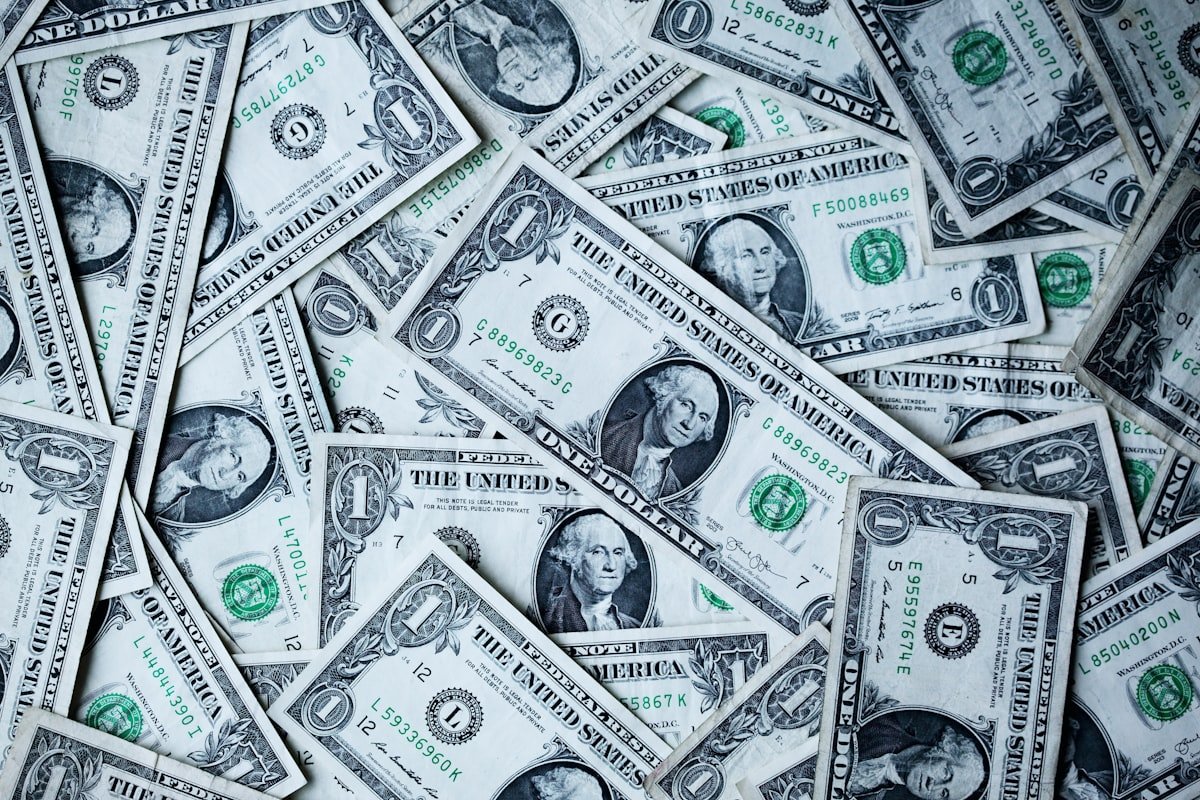 Dolar TL kuru neden yükselir — 100 dolarlık banknotlar yakın çekim